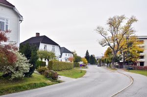 Skien, Bjørnstjerne Bjørnsons gate-1.jpg