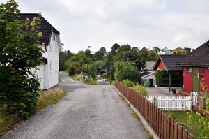 Skien, Briskevegen-1.jpg