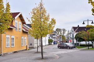 Skien, Chr. H. Bloms gate-1.jpg