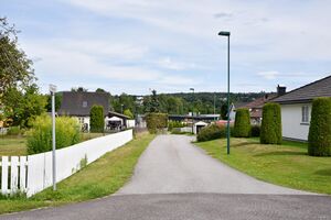 Skien, Flatane-1.jpg