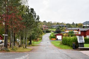 Skien, Fugleleiken-1.jpg