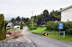 Skien, Geiterygglia-1.jpg