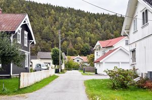 Skien, Grønnvegen-1.jpg