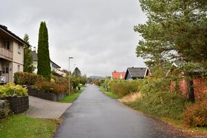 Skien, Gulsetmyra-1.jpg