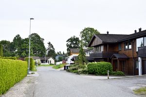 Skien, Høyåsvegen-1.jpg