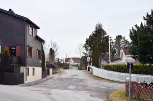 Skien, Haugsåsvegen-1.jpg