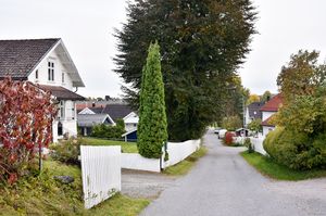 Skien, Havevegen-1.jpg