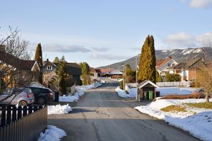 Skien, Limijordet-1.jpg