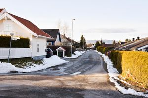 Skien, Limistien-1.jpg