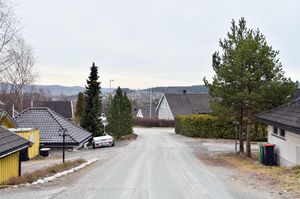 Skien, Meierkollen-1.jpg