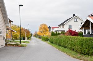 Skien, Merdinvegen-1.jpg