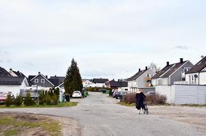 Skien, Risingjordet-1.jpg