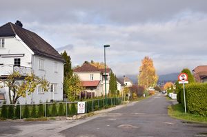 Skien, Solumgata-1.jpg