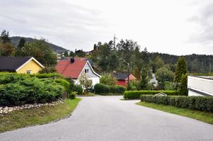 Skien, Steinsrudhøgda-1.jpg