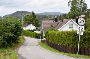 Skien, Steinsrudsvingen-1.jpg