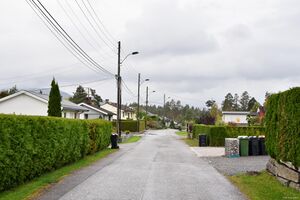 Skien, Tiurvegen-1.jpg