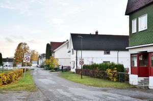 Skien, Tolleskogen-1.jpg