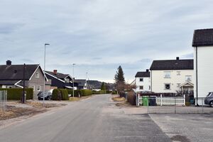 Skien, Tollmo-1.jpg