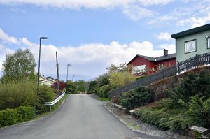 Skien, Viges veg-1.jpg