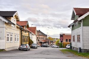 Skien, Wergelands gate-1.jpg