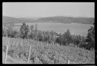 7. Skillvassbakk, Hamarøy - no-nb digifoto 20160210 00008 NB MIT FNR 05758.jpg