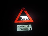 Varselskilt for isbjørn, Svalbard. Foto: Elin Olsen