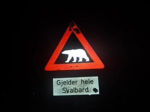 Skilt isbjørn Svalbard 2017.jpg