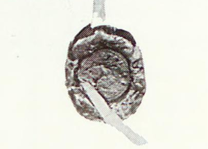 Skinnbrevene-fra-Grova-1544-vokssegl.png