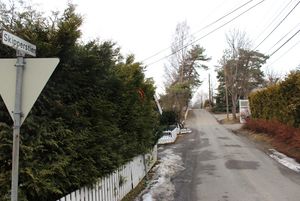 Skipperstien Bærum 2016.jpg