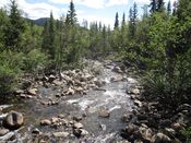 Elva Skirva. Foto: Stig Rune Pedersen (2017).