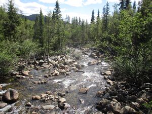 Skirva elv Tinn 2017.JPG