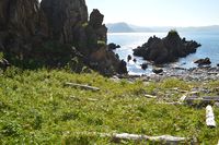 Skjæran, Hasvik, Sørøya. Fotograf Eva Rogneflåten.