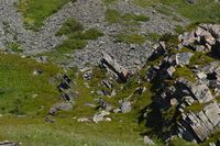 Skjæran, Hasvik, Sørøya. Fotograf Eva Rogneflåten.