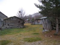 61. Skjaak Bysjet 3.jpg