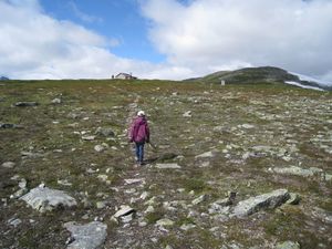 Skjaak Glitterbua 2012.jpg