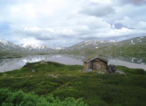 Skjaak Hamsedalen 2012a.jpg