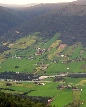 Skjaak Skjaak-gardane.jpg