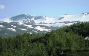 Skjaak Skridulaupen.jpg