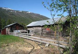 Skjaak Turrmoen 2012 b.jpg