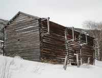 101. Skjaak laave des2012.jpg