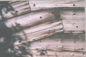 Skjerving pa naust.jpg