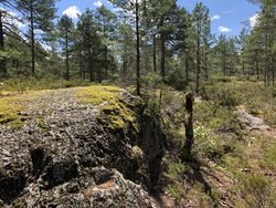 Skjettenkollen, toppen. Foto 2020 Steinar Bunæs.