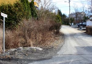 Skogenbuen Bærum 2016.jpg