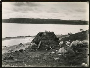 Skoltegammen ved Kirkenes (Wessel).jpg