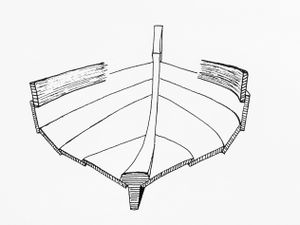 Skvettriper (2).JPG