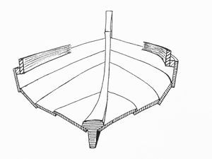 Skvettriper (3).JPG