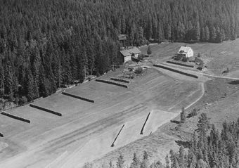 Slåtten under Rustad søndre 1957.jpg