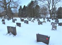 Vintermotiv fra Slagen kirkegård. Foto: Stig Rune Pedersen