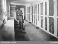 Sovesal med gitterbur, ca. 1895 Foto: Hans Wingaard Friis