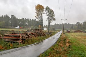 Slemmestadveien.jpg